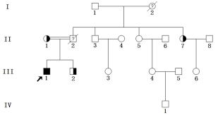 novel compound heterozygous mutations in low density