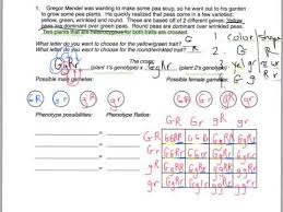 In dihybrid cross , using pea color and shape as examples. Key For Dihybrid Practice 1 Youtube