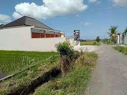 Wehh.lelong 50 lot banglo dekat ngn bandar machang nok dijual separuh dari rego pasaran!!!!!. Eumah Cantik View Sawah Dekat Canggu Tanah Lot Dijual Co Id