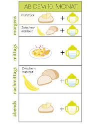 Beikost Fahrplan Ab Dem 10 Monat Beikost Kochen Fur Baby Babys Futtern