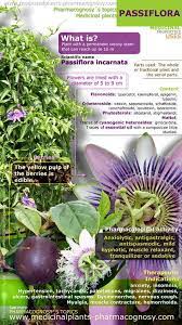 Which Herbs Should You Grow In The Garden To Use As Medicinals In Your Homemade Herbal Remedies Medicinal Plants Passion Flower Benefits Herbalism