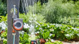 Conseils et faites si vous souhaitez faire un jardin n'est pas les évènements. Arrosage Automatique Tout Savoir Pour Faire Le Bon Choix Cote Maison