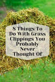 8 Things To Do With Grass Clippings You Probably Never Thought Of Grass Clippings Lawn And Garden Lawn Care Tips