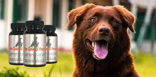 Iriecbd pet cbd oil is infused with natural health superfood astaxanthin, a naturally occurring carotenoid found in certain marine plants and animals and cod liver oil. My Lovely Pets Hemp Cbd Oil For Sale Natural Cbd Products
