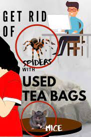 Is There A Rat Living In Your Kitchen Cupboards Or Are The Cockroaches On Your Bedroom Walls Bothering Y Used Tea Bags Getting Rid Of Mice Get Rid Of Spiders