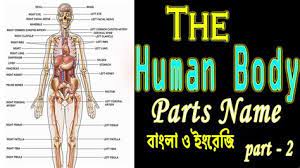 We did not find results for: Body Parts Tamil Tamil Words For Body Parts Get English To Tamil Body Part Names Leg Parts Head Parts Face Parts Names Arm Body Parts Parts Of Full Hand Linda Pulalo