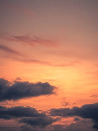 ✓ free for commercial use ✓ high quality images. 500 Sunset Cloud Pictures Stunning Download Free Images On Unsplash