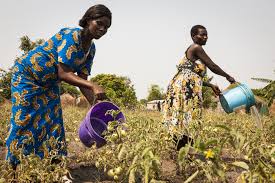 The next zambia women game on tv is great britain womens v zambia women in the womens international football on 01 july 2021 and kicks off at 7:45pm. Improving The Economic Status Of Women In Zambia Vso