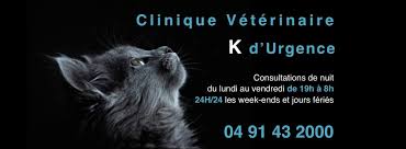 See more of clinique vétérinaire du littoral on facebook. Clinique Veterinaire K D Urgence A Marseille 04 13004 Boulevard Sakakini Adresse Horaires Telephone 118000 Fr