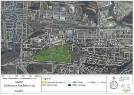 Image result for Dichilus bainesii