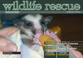 Issue 5a Wildlife Rescue Magazine By Wildlife Rescue