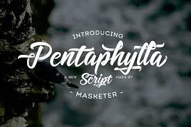 Download 10,000 fonts with one click for $19.95. Pentaphylla From Fontbundles Net Pretty Fonts Creative Fonts Brush Script Fonts