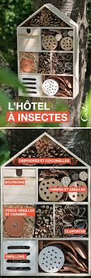 Hotel A Insectes Artemio Hotel A Insectes Arbres Pour Petit Jardin Maison A Insecte