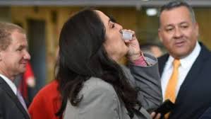 Cabal dice que los dos bailan muy bien pero no se entienden porque: El Guaro De Maria Fernanda Cabal En El Congreso