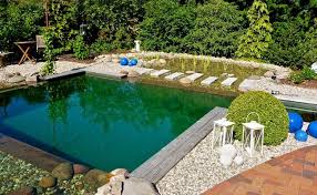 Schwimmteich Von Galabau Volker Niebuhr Schwimmteich Naturschwimmbecken Teich