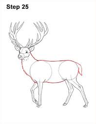 Draw A Red Deer Buck 25 Deer Drawing Deer Drawing Easy Deer Painting
