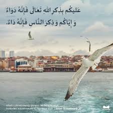 Zeyhal Adli Kullanicinin Huzur Panosundaki Pin Resimli Alintilar Inanc Sozleri Araba