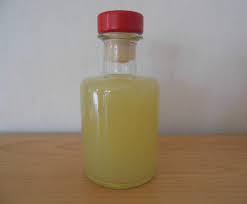 Ingwerlikor Schnaps Rezepte Getranke Rezepte Getranke