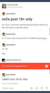So close, yet so far... | Tumblr Adult Content Ban | Know Your Meme