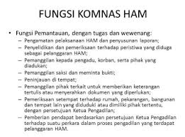 Bahkan pemberian anjuran tersebut sudah melampaui kewenangan komnas ham . Fungsi Komnas Ham Pengertian Sejarah Lembaga Tujuannya