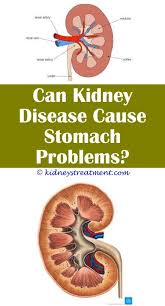 Kidney Disease Diet People Kidney Disease Symptoms Kidney Disease Polycystic Kidney Disease