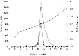 Image result for Black 1998 AAV