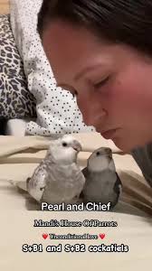 Nuestra rutina nocturna con Pearl y Chief