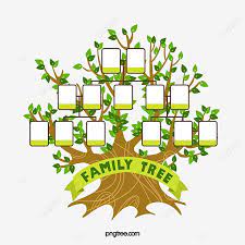 แผนภ ม ต นไม ครอบคร ว ต นไม ใหญ สมาช ก กรอบร ปภาพ png และ psd สำหร บดาวน โหลดฟร family tree template family tree tree templates