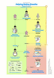 Helping Babies Breathe 2nd Edition Summary Of Changes