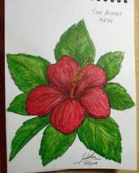 Bunga nasional malaysia adalah bunga raya jenis net. 32 Bunga Raya Ideas