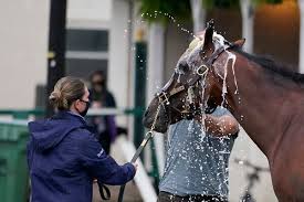 In 2004, the kentucky derby added the alysheba stakes to its derby week lineup. Who Will Win The Kentucky Derby Expert Picks And Predictions The New York Times