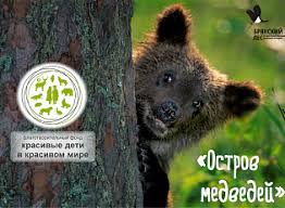 проект красная книга россии 4 класс окружающий мир с картинками Homepage