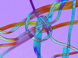 Flexible sahra in stiff nylon dress. Spandex Wikipedia