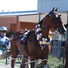 FRANK & EDNA DAY GOULBURN CUP