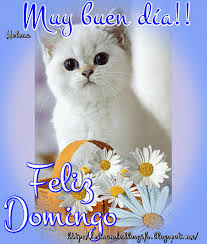 Imágenes Feliz Domingo GIF con Movimiento y Brillo