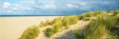 Besuchen sie einen der geselligen badeorte hollands, wie noordwijk, zandvoort oder egmond aan zee. Ferienhauser In Holland Niederlande Bungalow Net
