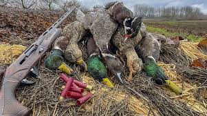 Image result for Samcom CP-700