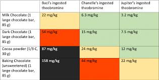 My dog ate a little bit of chocolate. My Dog Ate Chocolate And He Was Fine So What S The Big Deal Office For Science And Society Mcgill University