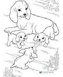 Check spelling or type a new query. Dog Coloring Pages