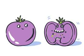 New York Times Connections puzzle hints and solutions