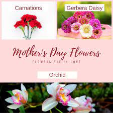 We did not find results for: Conroy S Flowers Fresno Conroyfresno Twitter