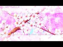 خلفيات ميمي youtube fon