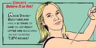 Ripley's Believe It or Not!