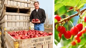 Find all of the midwest supplies' promotions in one place! Give Fruit Trees A Try Ohio Farm Bureau