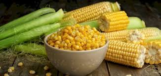 Fork, corn, maize, mealie, atomic, mealies, corncob, corn cob, the corn!. ÙÙˆØ§Ø¦Ø¯ Ø§Ù„Ø°Ø±Ø© Ø§Ù„ØµÙØ±Ø§Ø¡ Ø§Ù„Ù…Ø³Ù„ÙˆÙ‚Ø© Ø³Ø·ÙˆØ±