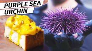Maybe you would like to learn more about one of these? Harvesting Purple Sea Urchin Uni On The Oregon Coast Deep Dive Youtube