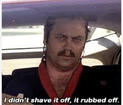 Nick Offerman Is Donating Ron Swanson'S Mustache To Charity