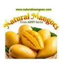 Natural Mangoes Chennai - Farmer - Self-employed | LinkedIn