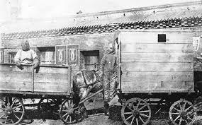 The Plague Fighter: Dr Wu Lien-Teh and ...