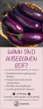 Pin Auf Ernte Aus Dem Eigenen Garten